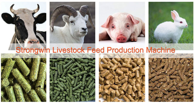 동물 먹이 생산 라인